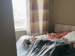 -科立恩进口除甲醛甲醛检测