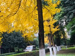 -四川大学(华西校区)