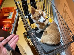 -MARSMART PETS火星宠物超市(1733店)