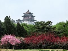 -莲花池公园