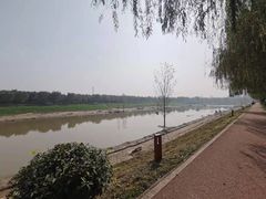 -洨河生态公园