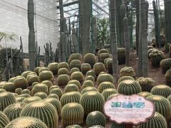 -南山植物园