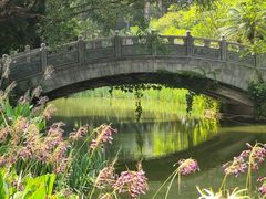 -人民公园(罗湖区)