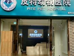 -皮特动物医院(24小时店)