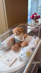 -巍阁高端月子会所