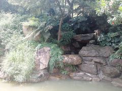 -广州市帽峰山景区