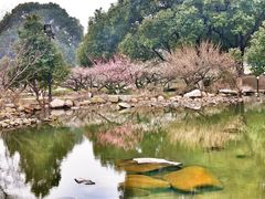 -白马涧龙池景区