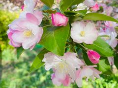 -元大都城垣遗址公园