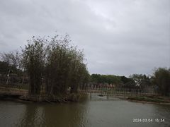 -天适樱花悠乐园