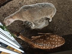 -丽泽山庄·生态怀柔菜·虹鳟鱼(红螺寺店)