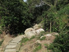 -阳台山森林公园