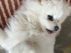 -Living Kitchen团建·厨艺派对空间(国贸店)