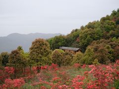 -瑞安圣井山景区