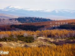 -塞罕坝国家级自然保护区