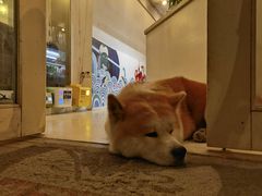 -餐酒吧Com-ing Bar(上海路店)