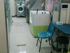 -北京观赏动物医院·24小时大型综合·猫专科·异宠专科