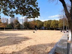 -尚贤河湿地
