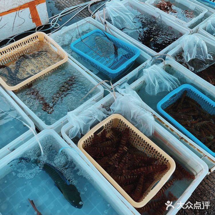 新村码头!海鲜买到爽,帮你避坑!