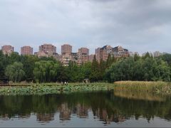 -前关湿地公园