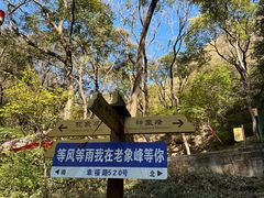 -老象峰