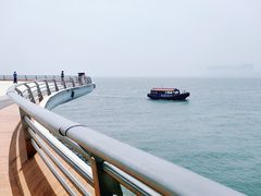 -演武大桥观景平台