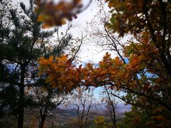 -帽儿山国家森林公园