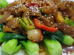 -清真双宝红油牛系列