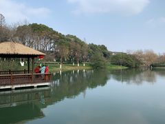 -圩墩遗址公园