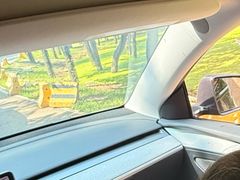 -秦皇岛野生动物园