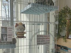 -猫的天空之城概念书店(北戴河蔚蓝海岸店)