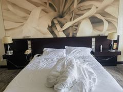 -国家会议中心大酒店