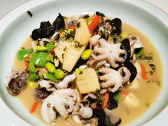 雪菜八爪鱼-東大方(海宁海昌路店)