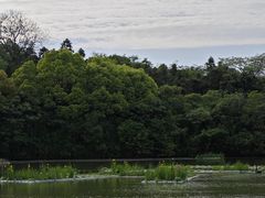 -天生桥景区