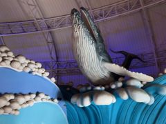 -烟台海昌鲸鲨海洋公园