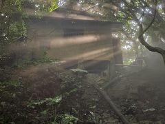-青青世界