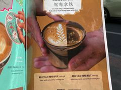 -茶是一枝花泡茶店