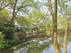 -西溪国家湿地公园