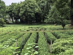 -中国茶叶博物馆(双峰馆区)