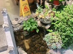 -大理董·董家小厨野生菌火锅(古城旗舰店)
