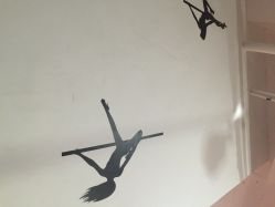 上海雅婷钢管舞(普陀店)-柯宏＆雅婷塑形钢管舞蹈