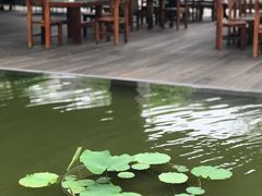 -东航云逸酒店(九溪烟树店)