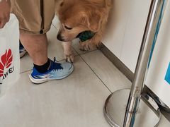 -美联众合动物医院·24h京西诊疗中心