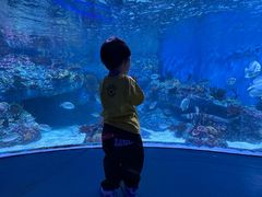 -海合安成都极地海洋公园