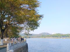 -番禺大夫山森林公园