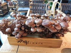 -大头椰·椰子鸡火锅(南宁万象城店)