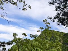 -秦岭天竺山生态文化旅游景区