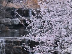 -国家植物园