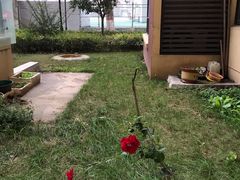 -西安外国语大学(雁塔校区)