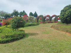 -东莞植物园