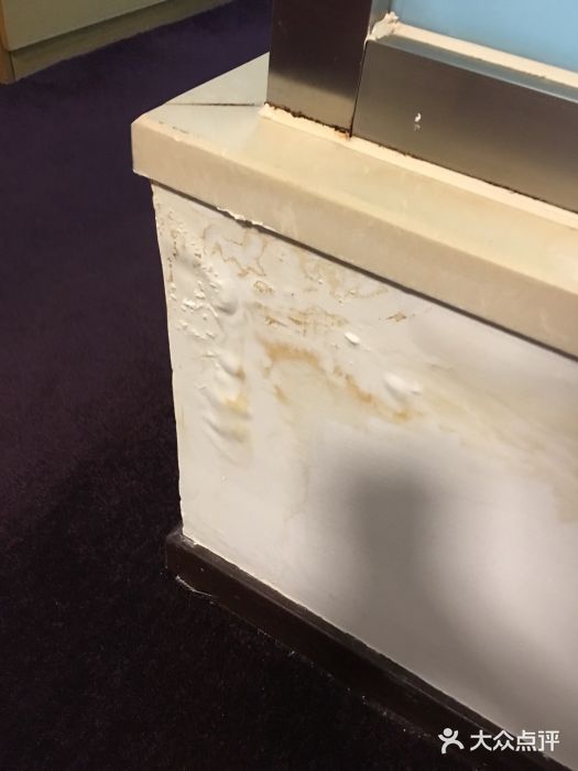 上海北方智选假日酒店图片